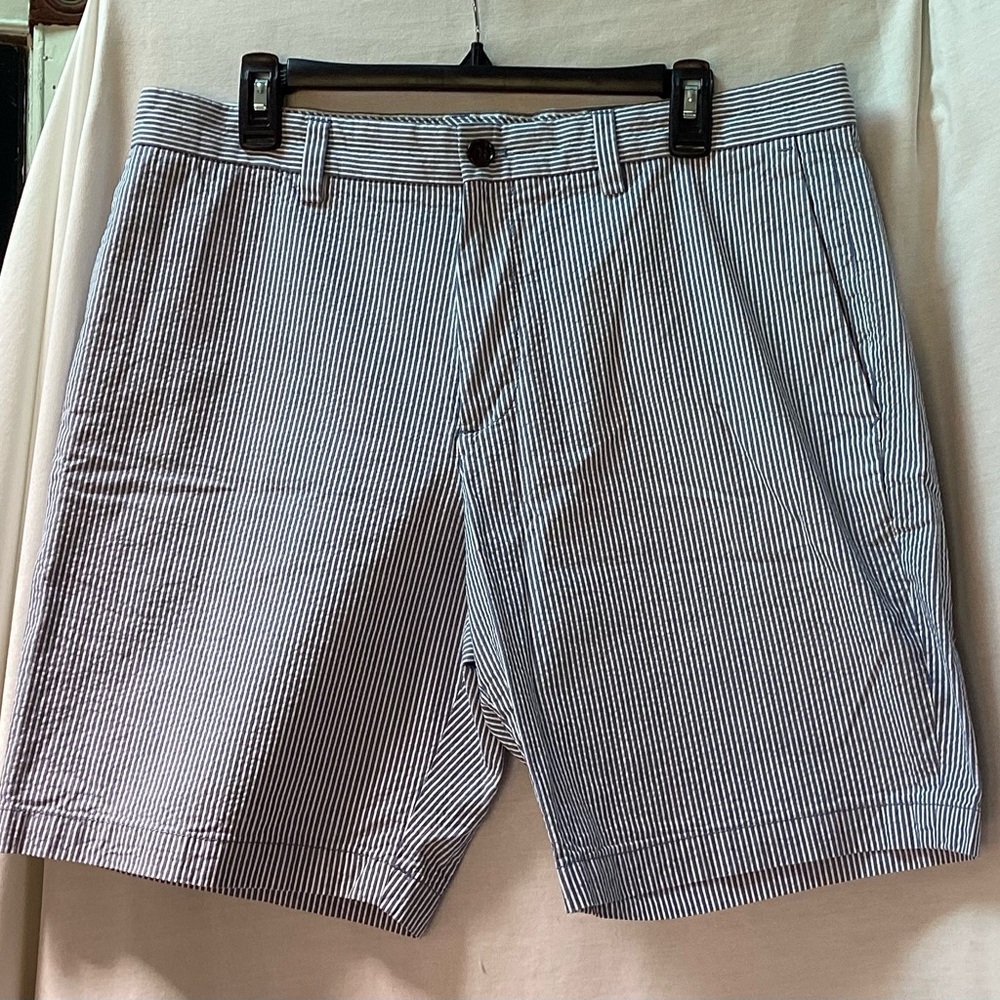 Men’s Banana Republic Blue pinstriped cotton shorts size 34